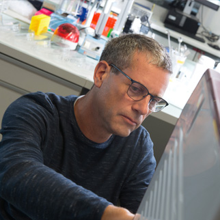 Dirk Fasshauer Associate Professor